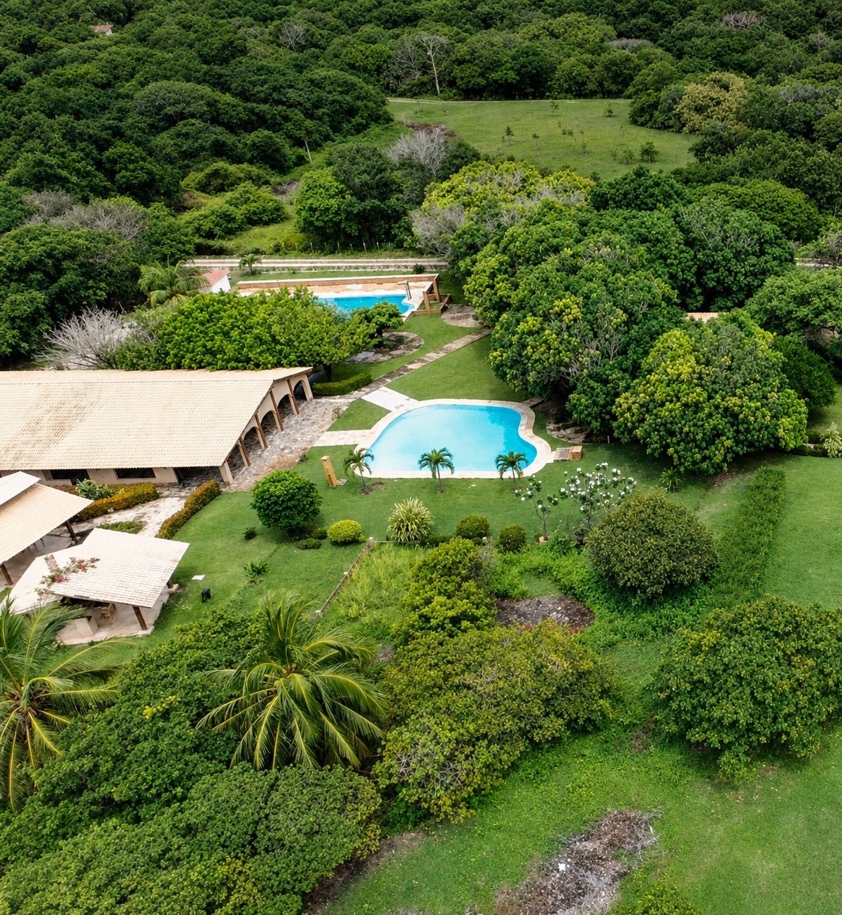 Aerial view of the estate showing two pools amid lush trees